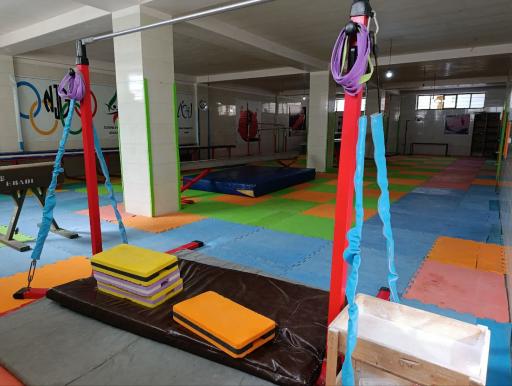 عکس سالن اختصاصی ژیمناستیک 