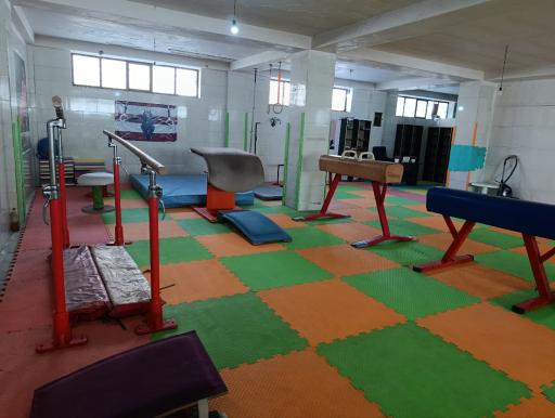 عکس سالن اختصاصی ژیمناستیک 
