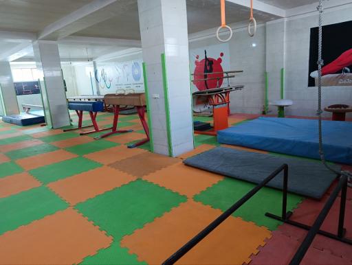 عکس سالن اختصاصی ژیمناستیک 
