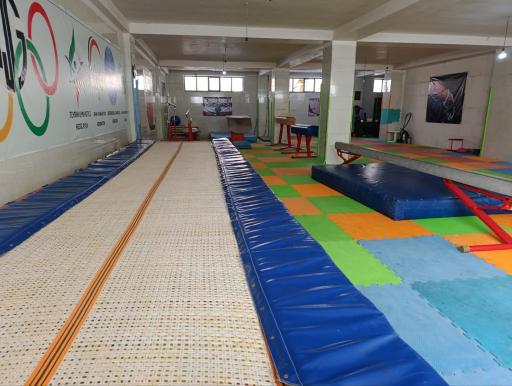 عکس سالن اختصاصی ژیمناستیک 