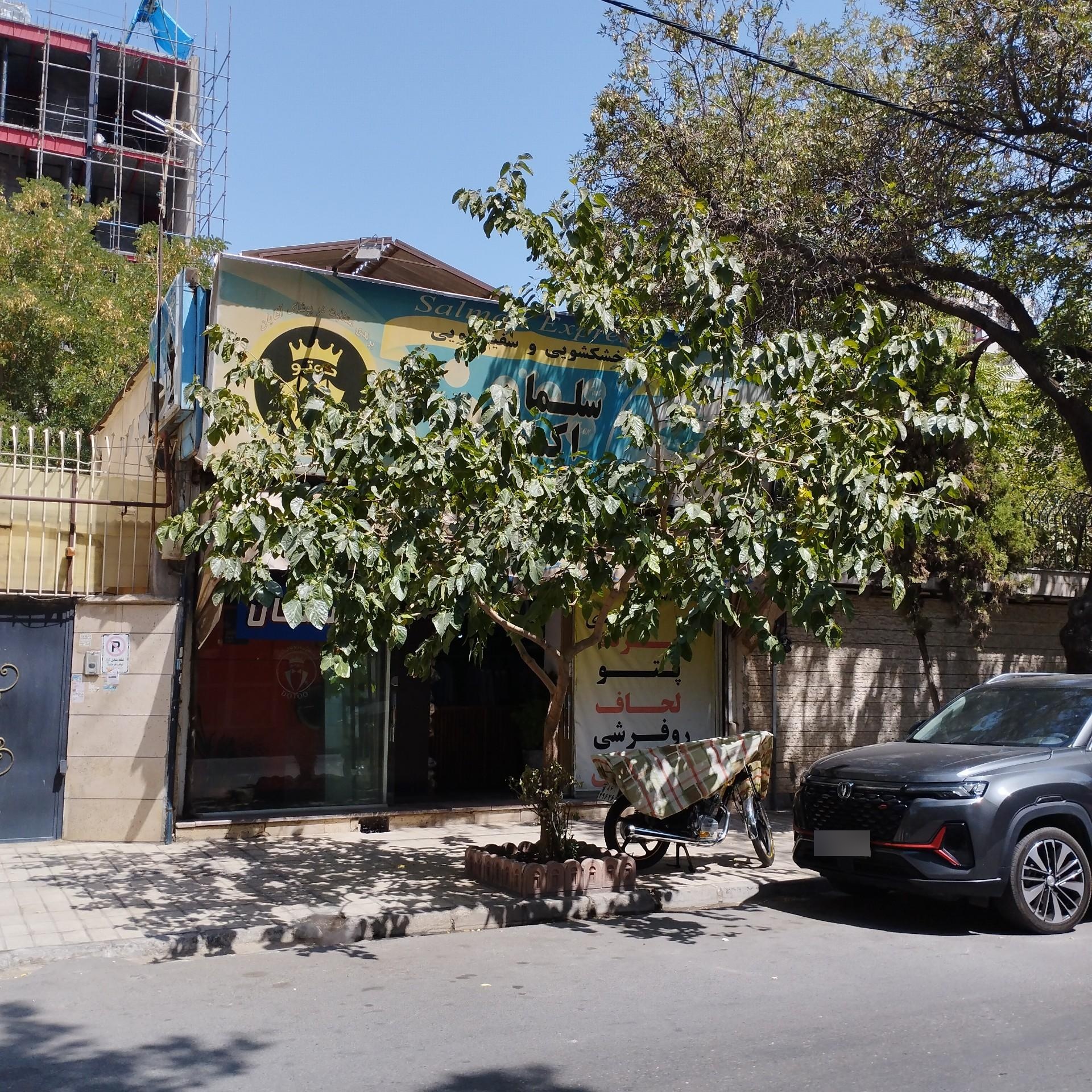 عکس خشکشوئی و سفیدشوئی سلمان