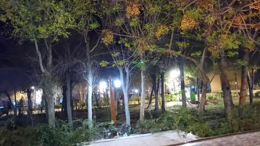 عکس پارک وحشی بافقی