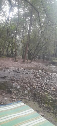 عکس کمپ پارک جنگلی کشپل