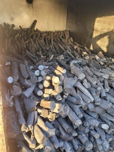 عکس زغال سیاوش