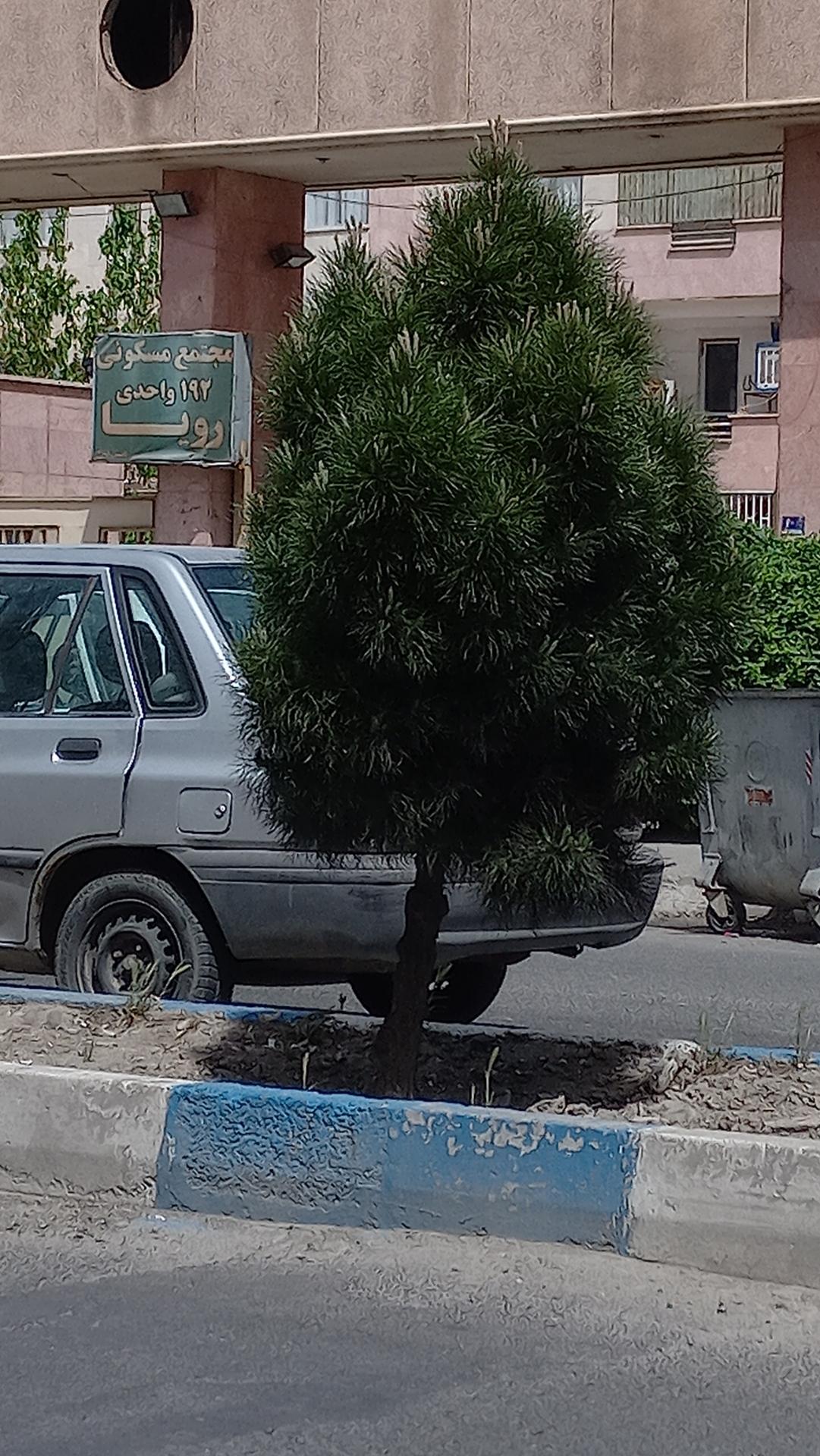 عکس مجتمع مسکونی رویا