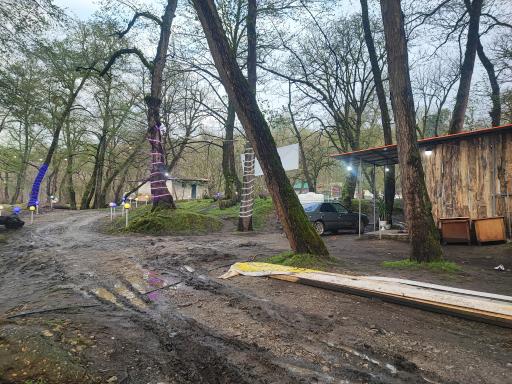 عکس کمپ پارک جنگلی کشپل