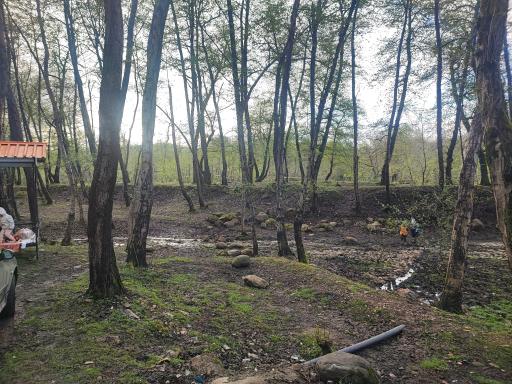 عکس کمپ پارک جنگلی کشپل