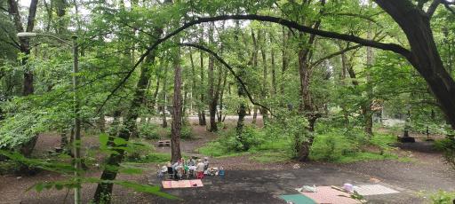 عکس کمپ پارک جنگلی کشپل