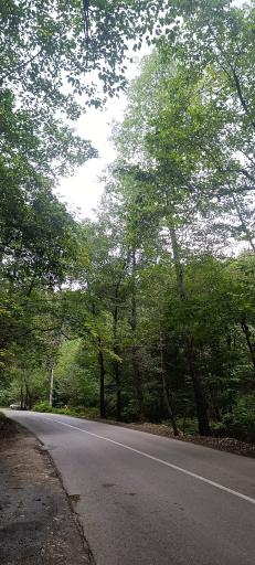 عکس کمپ پارک جنگلی کشپل