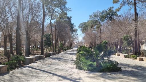 عکس پارک وحشی بافقی