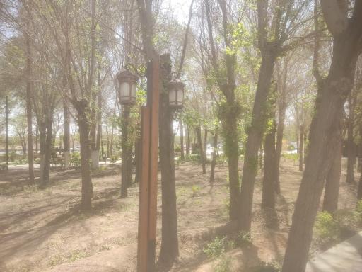 عکس پارک وحشی بافقی