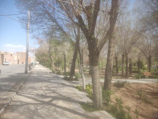 عکس پارک وحشی بافقی