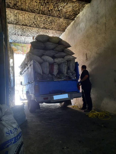 عکس زغال سیاوش