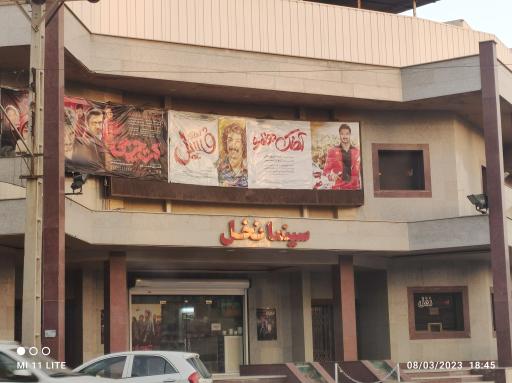 عکس سینما نخل