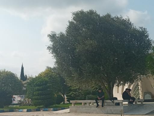 عکس دانشگاه فرهنگیان دکتر شریعتی ساری