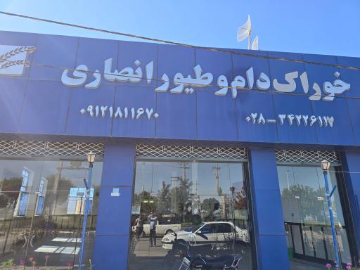 خوراک دام انصاری