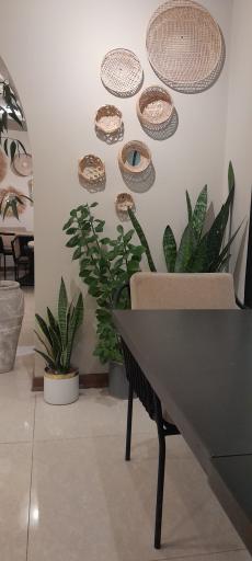 عکس کی کافه