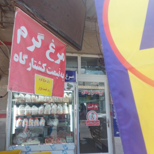 عکس مرغ پر طلایی