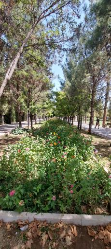 عکس بوستان باغ جنت