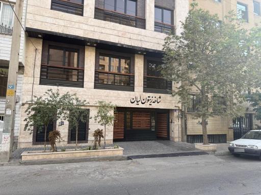 عکس شرکت بازرسی فنی شاخه زیتون لیان