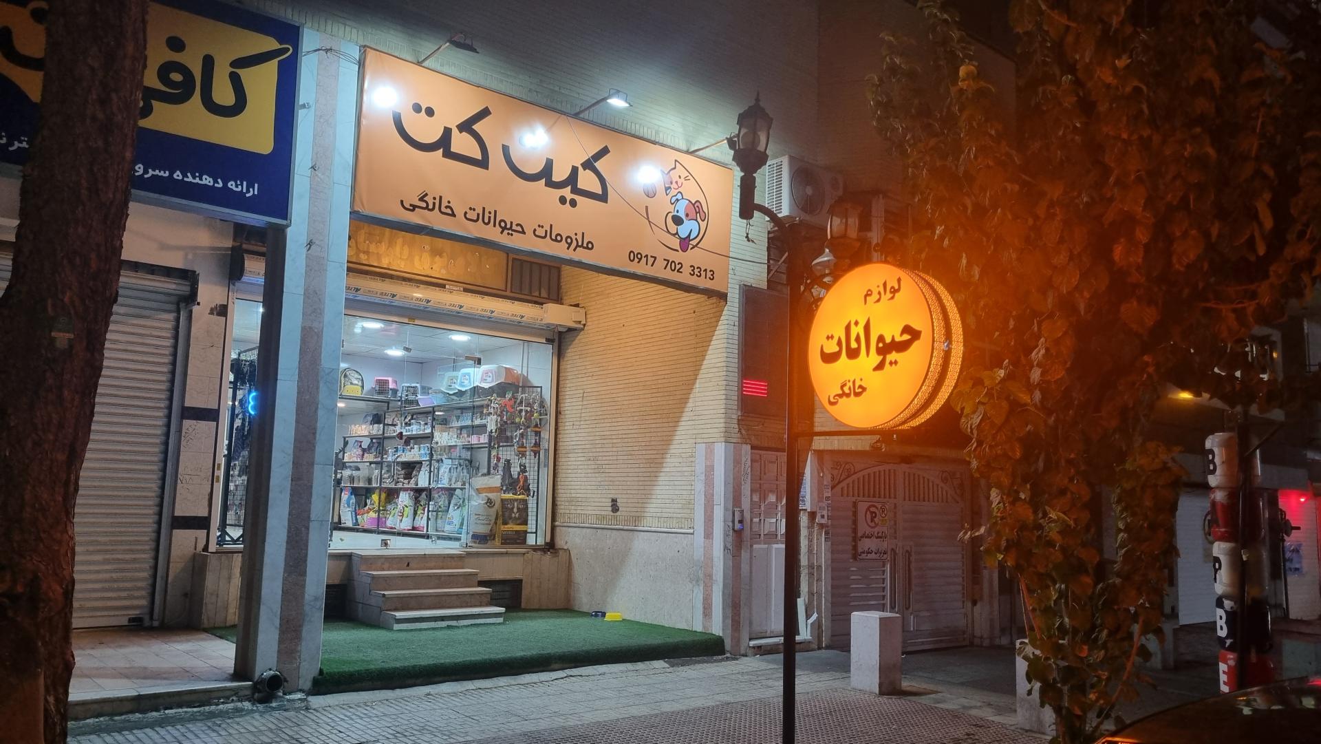 عکس پت شاپ کیت کت