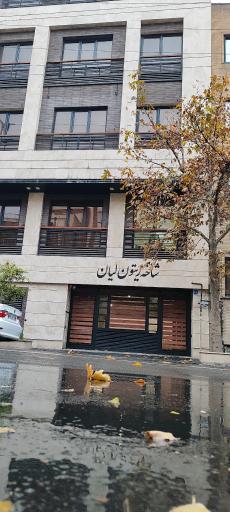عکس شرکت بازرسی فنی شاخه زیتون لیان