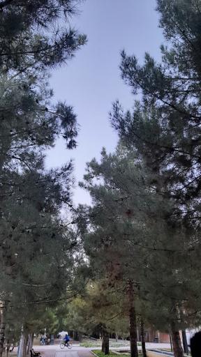 عکس بوستان باغ جنت