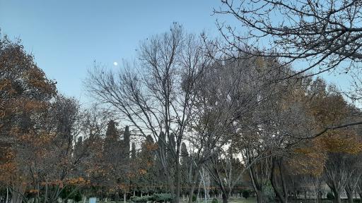 عکس بوستان باغ جنت