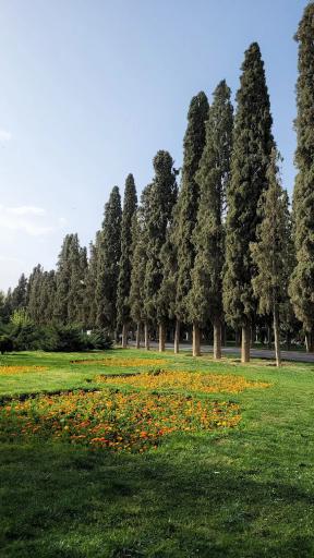 عکس بوستان باغ جنت