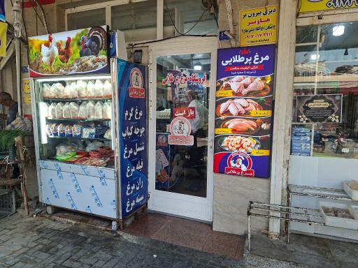عکس مرغ پر طلایی