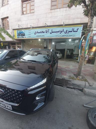 عکس نمایشگاه اتومبیل آقامحمدی
