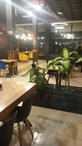 عکس کافه رستوران شیکا