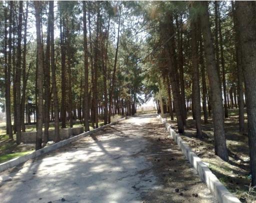 عکس پارک فلاحت