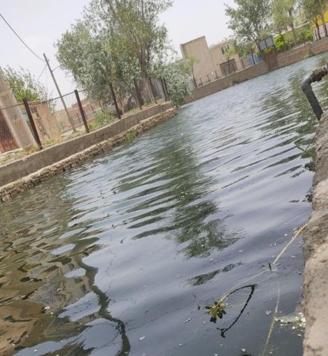 عکس سراب وینسار