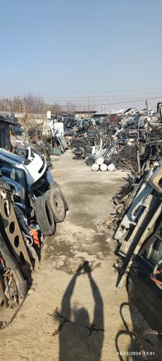 عکس اسقاطی میکائیل 