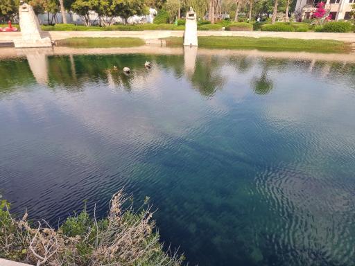 عکس هتل داریوش