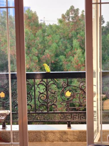 عکس هتل داریوش