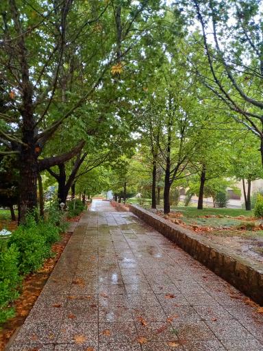 عکس پردیس دانشگاه آزاد اسلامی واحد شیراز