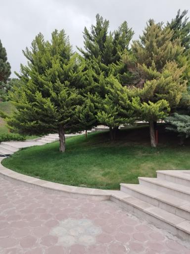 عکس مجتمع فرهنگی تفریحی طلائیه