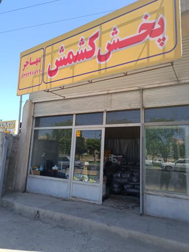 عکس پخش کشمش مهاجر