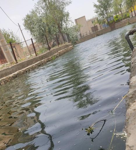 عکس سراب وینسار