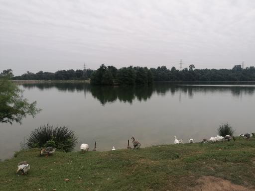 عکس اسکله دریاچه آوبدر