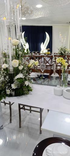 عکس تشریفات پَر طلایی