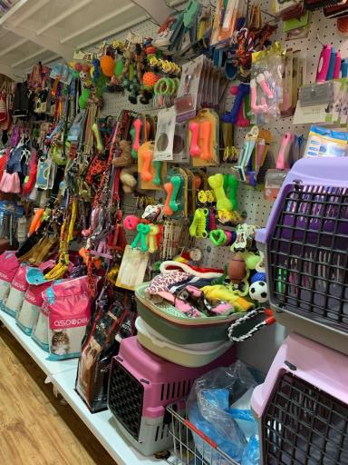 عکس پت شاپ گلدپت