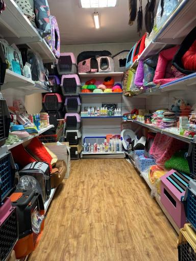 عکس پت شاپ گلدپت