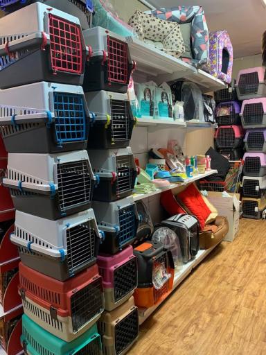 عکس پت شاپ گلدپت