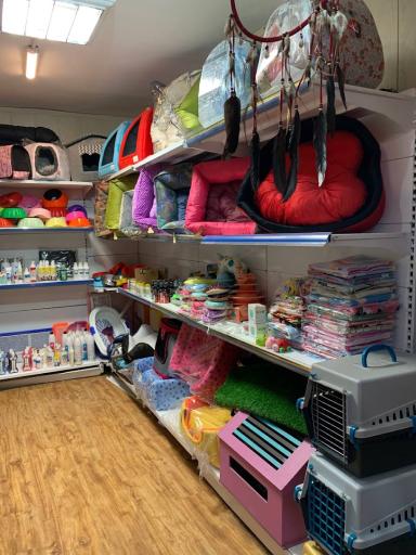 عکس پت شاپ گلدپت