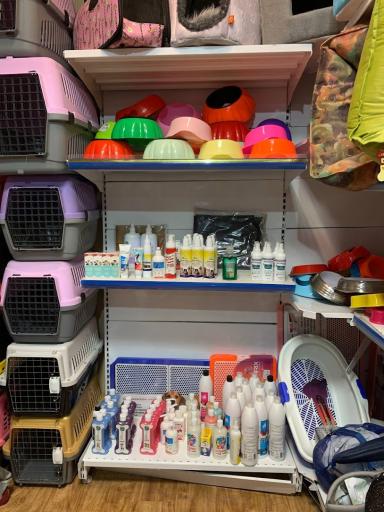 عکس پت شاپ گلدپت