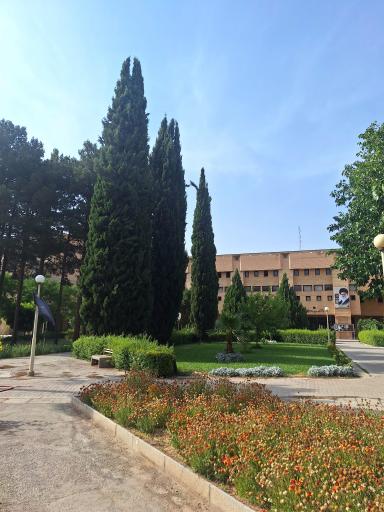 عکس دانشکده ادبیات و علوم انسانی