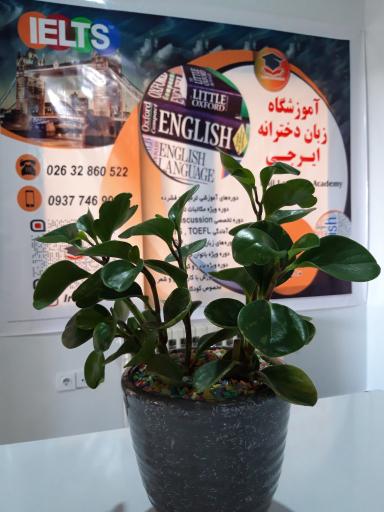 عکس آموزشگاه زبان ایرجی